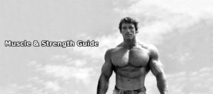 Arnold with the words ultimate guide to muscle and strength