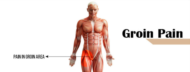 What Does A Pulled Groin Feel Like Full List Of Symptoms For Pain In The Groin Area Physiqz