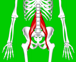 area of psoas muscle pain symptoms requiring treatment