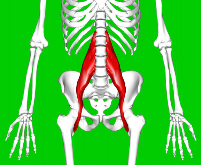 Psoas Muscle Pain Symptoms and Treatment for Quick Relief - Physiqz