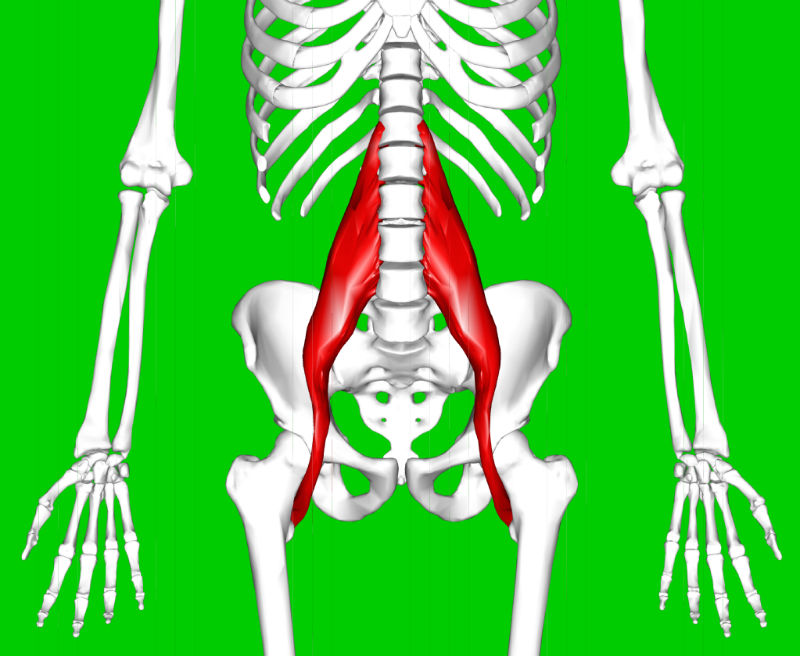 area of psoas muscle pain symptoms requiring treatment