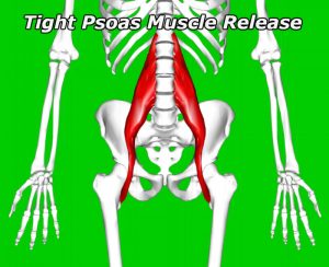 tight psoas muscle requiring release and massage to relieve tightness and inhibition