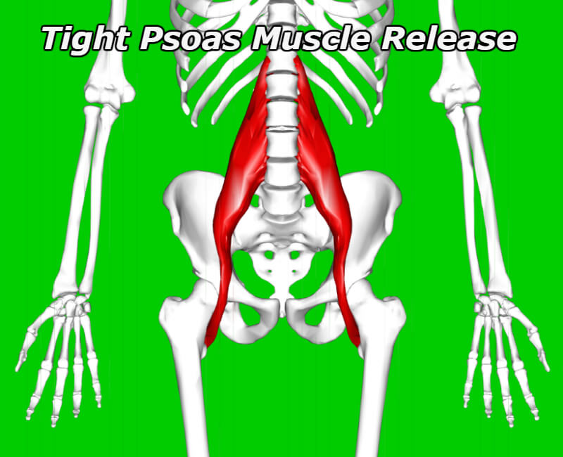 tight psoas muscle requiring release and massage to relieve tightness and inhibition