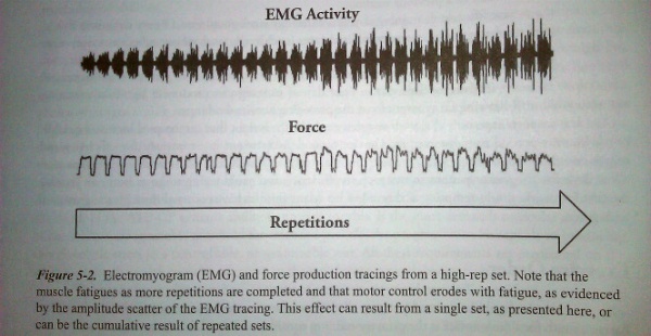 EMG study showing the effects of lifting weights on fatigue during Greyskull LP