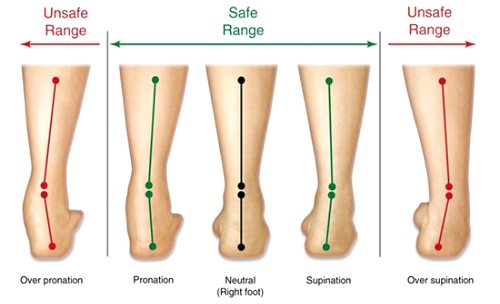 Diagram illustrating supination and pronation of the ankles