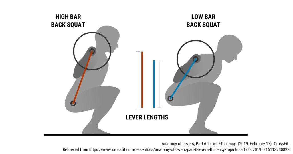 High Bar vs Low Bar Squat Powerlifting Program Secret Physiqz