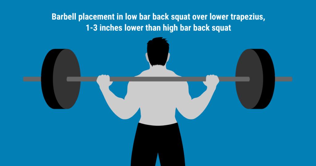 High Bar vs Low Bar Squat Powerlifting Program Secret Physiqz