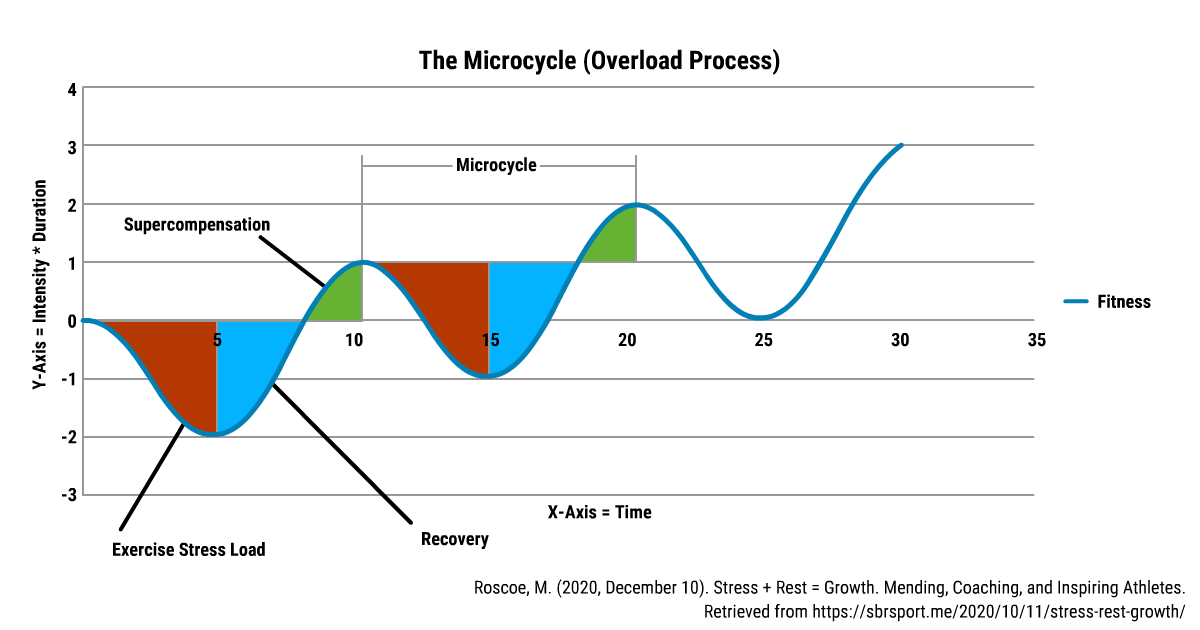 A graph showing that timing workouts may optimize supercompensation for muscle growth