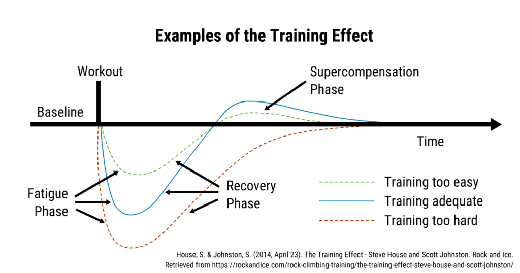 A graph showing that timing and intensity influence CNS response.