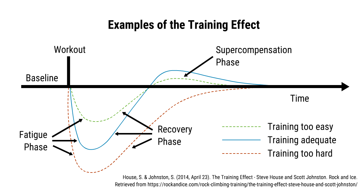 A graph showing that timing and intensity influence CNS response. 
