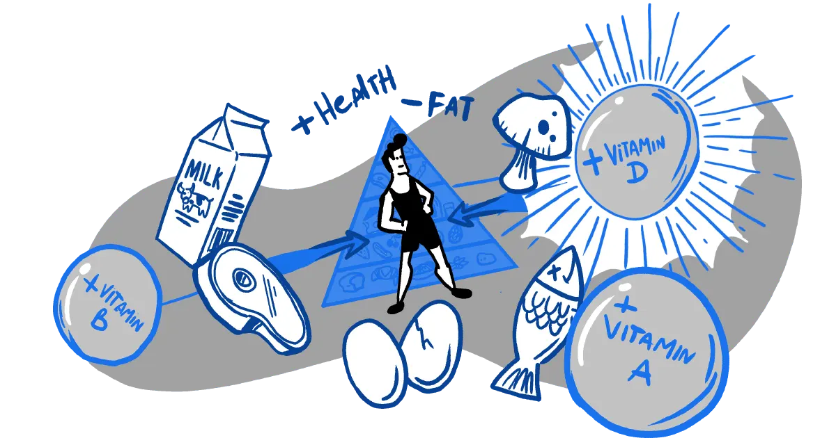 An image showing a carton of milk, ham, eggs, fish, mushrooms, a food pyramid, the words vitamin D, vitamin A, and vitamin B to symbolize that vitamins promote weight loss.