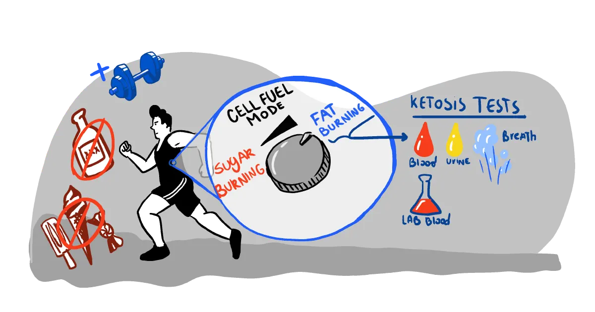 Getting Into Ketosis In 24 Hours