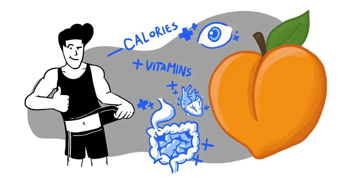 In the image, a man displays a lower BMI and weight loss attributed to a diet rich in freestone peaches or nectarines.