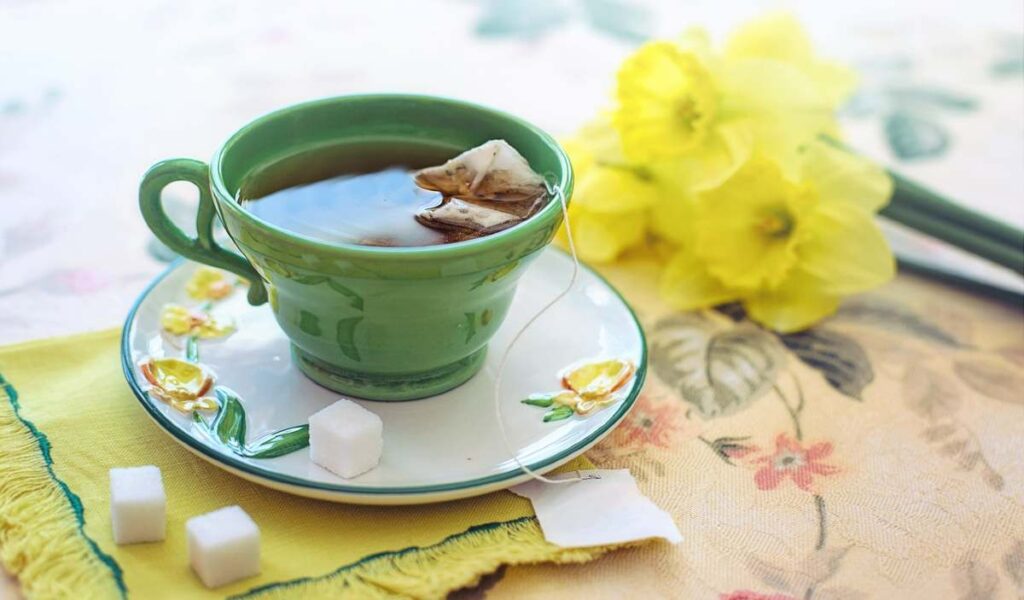 A cup with a green tea bag in it next to sugar cubes. 