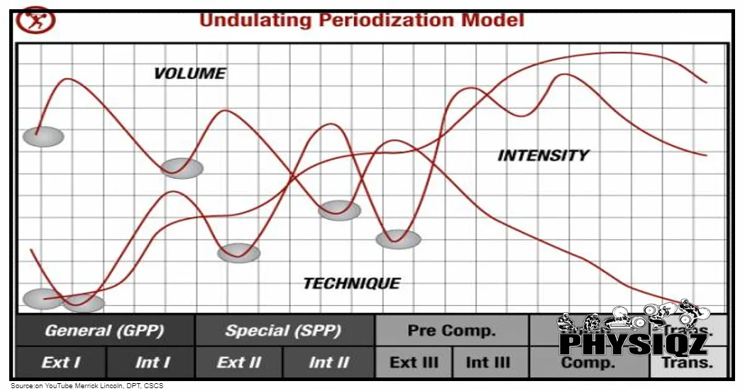 A graph illustrates the daily variable periodization model used in weightlifting, where volume, intensity, and frequency are adjusted to facilitate progress.