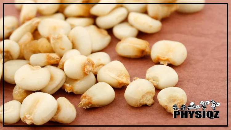 On a brown mat there are thirty hominy kernels that look like tan, plumb corn seeds that or orange on the tops. 