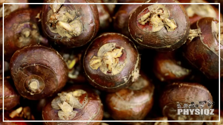Fifteen brown water chestnuts with the outer layer intact are sitting on top of each other. 