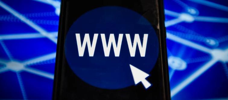 On an internet browser, what does “www” stand for?