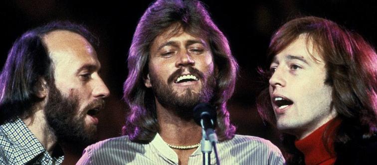 Which music genre fits with the Bee Gees?
