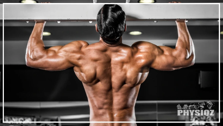 A man's back is showed with his lean, muscular physique in the pullup position. 
