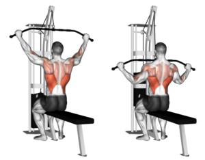 Close Grip Lat Pulldown Muscles Worked vs Wide Grip, Cable, V Bar ...