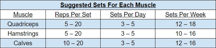 The table suggests sets for each muscle, including quadriceps, hamstrings, and calves, it includes information on suggested reps per set, sets per day, and sets per week for each muscle.