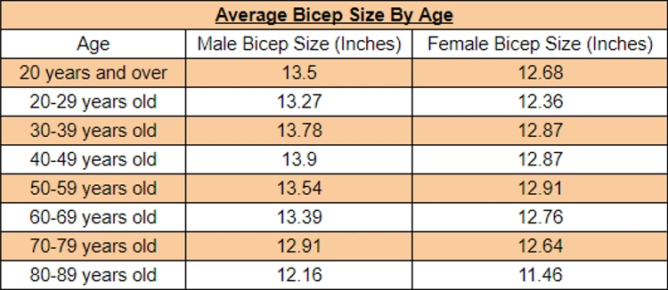 Table presenting the average bicep sizes by age group and gender, with measurements displayed in inches, the table includes data for both males and females, spanning from 20 years of age and over, the bicep sizes are listed for various age ranges, ranging from 20-89 years old.