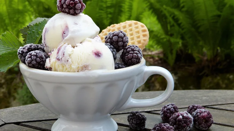 A cup of blackberry milk ice cream topped with blackberry fruits and a waffle on the side, served outdoors on a wooden table with blackberries on top, and plants in the background.