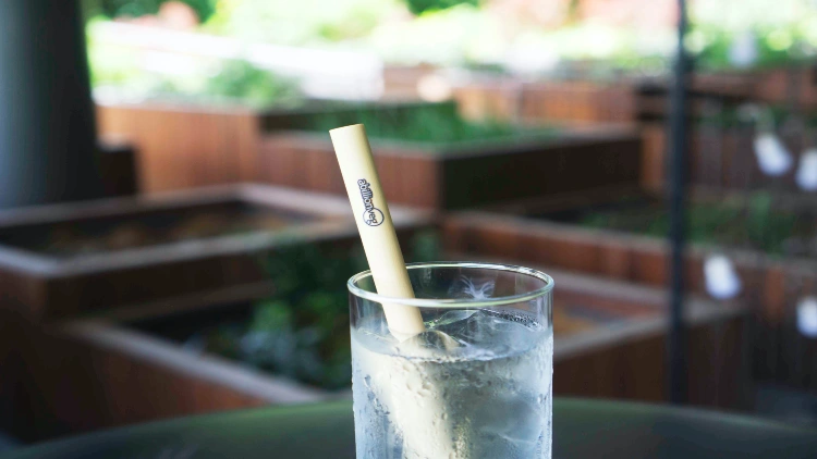 A clear glass filled with water and ice, with a bamboo straw sticking out from the top.
