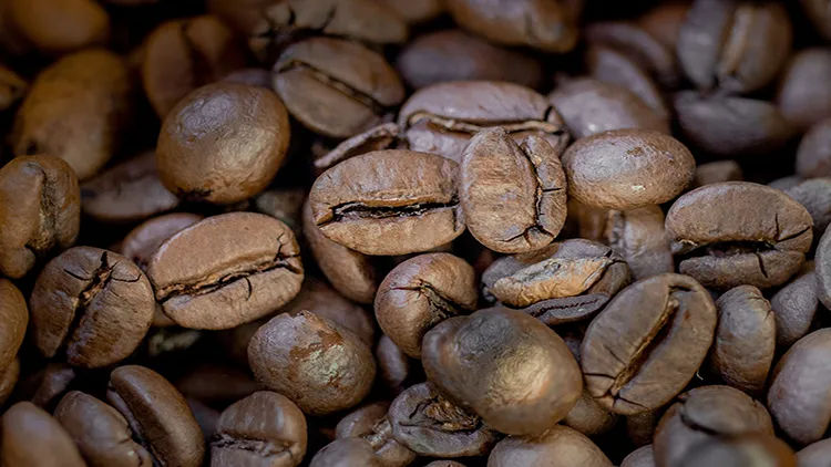 A close-up photo of fresh coffee beans.