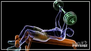 An animated illustration of a man performing a decline bench press exercise on a black background, the man is lying on a bench with his feet raised and his hands gripping a barbell above his chest, as he lifts and lowers the barbell, various muscle groups are highlighted to indicate the muscles being worked, including the pectorals, triceps, and deltoids.