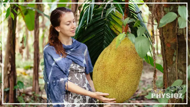 A pregnant woman, wearing a white dress with brown patterns and a blue shawl is holding and starring at a large jackfruit hanging from a tree beside her and wondering is jackfruit keto?