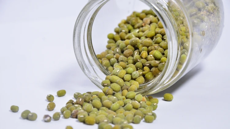 Mung beans were scattered on a white background after spilling out of a glass bottle.