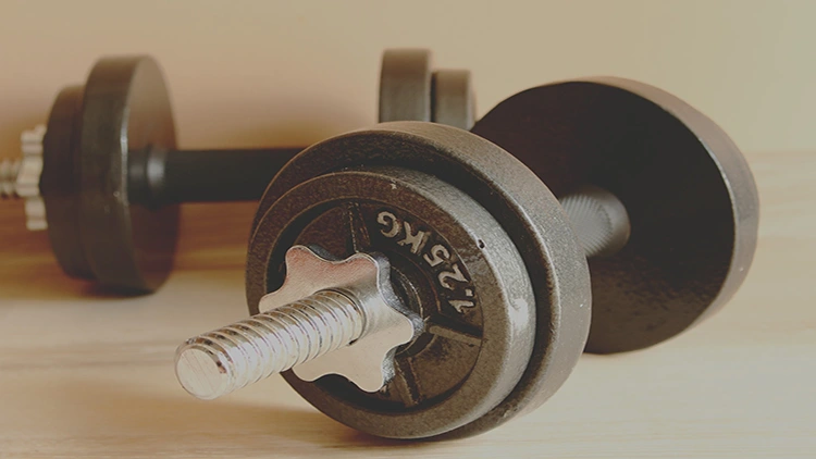 A pair of dumbbells locked with an additional 1.25 kg plate and placed on a wooden surface.