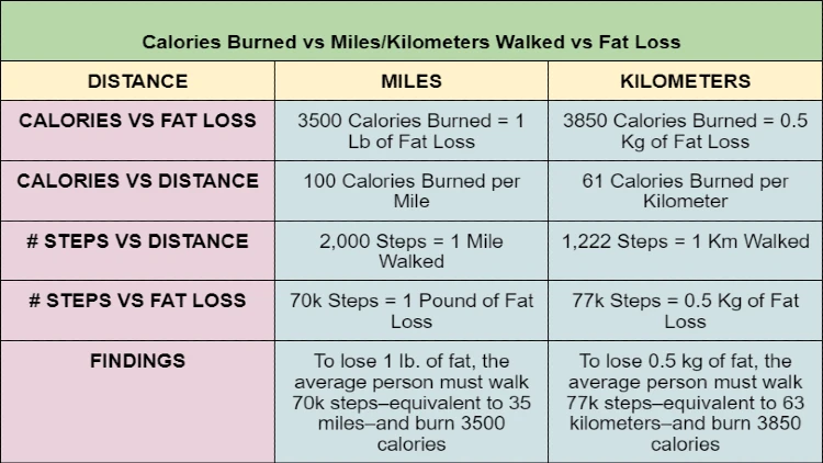 Table showing the relationship between calories burned, distance walked in miles/kilometers, and fat loss through walking, the table serves as a visual guide for tracking progress towards weight loss goals through regular walking routines and highlights the relationship between distance walked, calories burned, and fat loss.