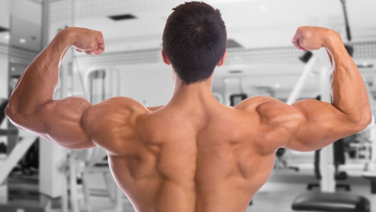A white male flexes his back bicep muscle, showcasing his muscular physique, the back and arm muscles are defined and visibly toned, highlighting the results of his physical training, gym equipment are visible in the background.