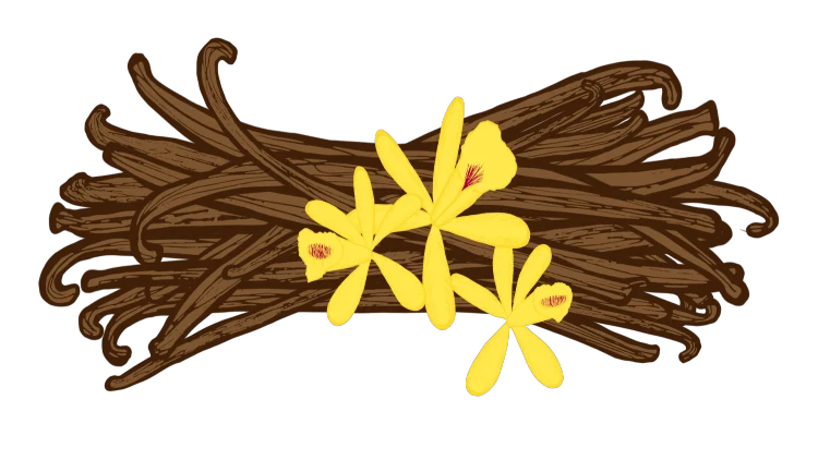 An illustration of vanilla flower with yellow petals on a brown wood.