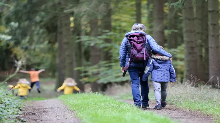 A mother and her son, both wearing blue jackets and the mother carrying a hiking backpack, are walking through a forest, other people are visible walking in the background and trees can be seen all around.
