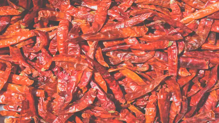 A collection of spicy dried chili peppers spread across the entire frame, with a variety of shapes, sizes, and colors, the peppers appear to be whole and intact, with some clustered together and others scattered across the background.