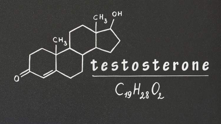 Chemical structure of testosterone, with the molecular formula C19H22O2 written prominently, it showcases the arrangement of atoms and bonds that make up testosterone, focus is on the written molecular formula, which provides a clear and concise representation of the chemical composition of testosterone.